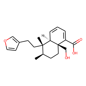 2D structure