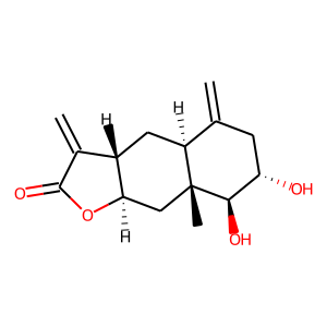 2D structure