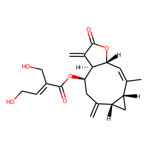 2D structure