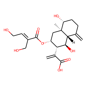 2D structure