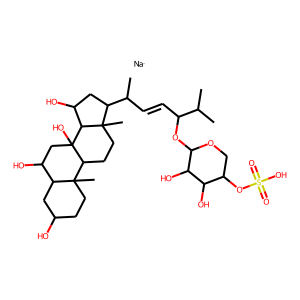 2D structure