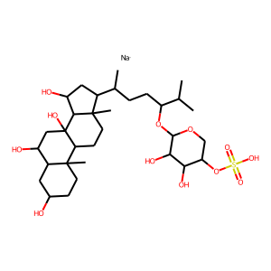 2D structure