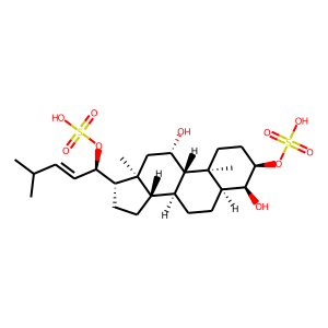 2D structure