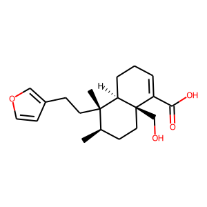 2D structure