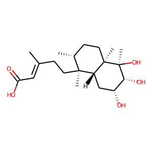 2D structure