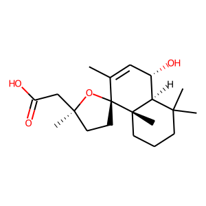 2D structure