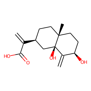 2D structure