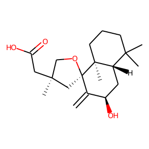 2D structure